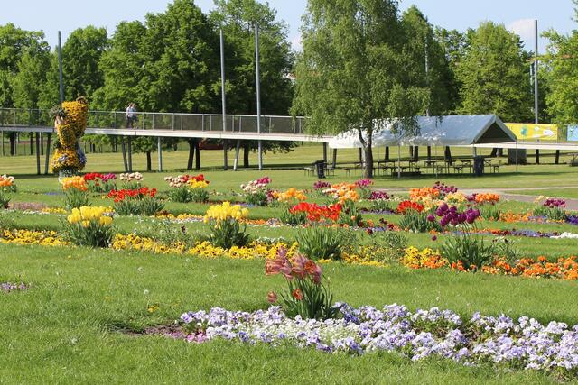 Anlage im Elbauenpark