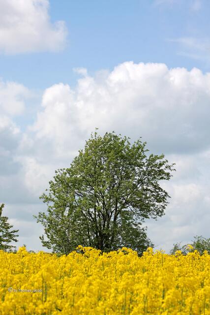 Die derzeit dominierenden Farben.