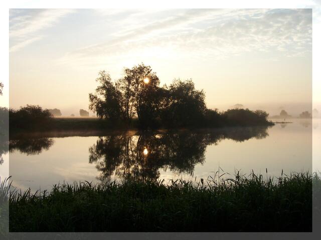 7)Oder: Eine Gruppenfahrt ab Eisenhüttenstadt. Blick von einer Zeltplatzbucht  auf die friedliche, abendliche Oder. | Foto: Eine Berliner Kanutin.
