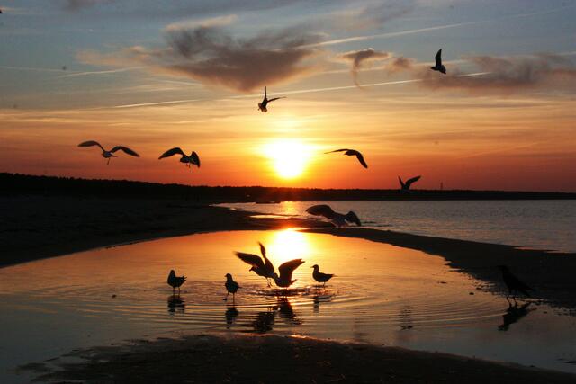 Sonnenuntergang am Strand von Prerow