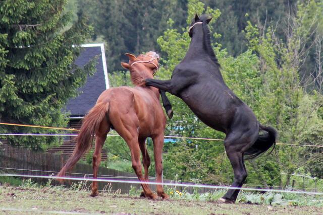 Lass mich mal die Hand auflegen. :-))