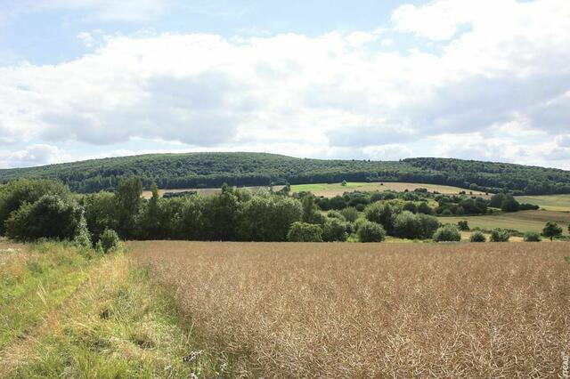 LeineLand mit Berg und Tal. Kanu Touren im LeineLand…:
http://www.myheimat.de/hannover-mitte/freizeit/kanu-touren-im-leineland-auf-nebenfluessen-innerste-und-rhume-ab-hannover-nach-ost-und-west-oder-auf-aller-und-weser-bis-zur-nordsee-d2486258.html | Foto: unbekannt