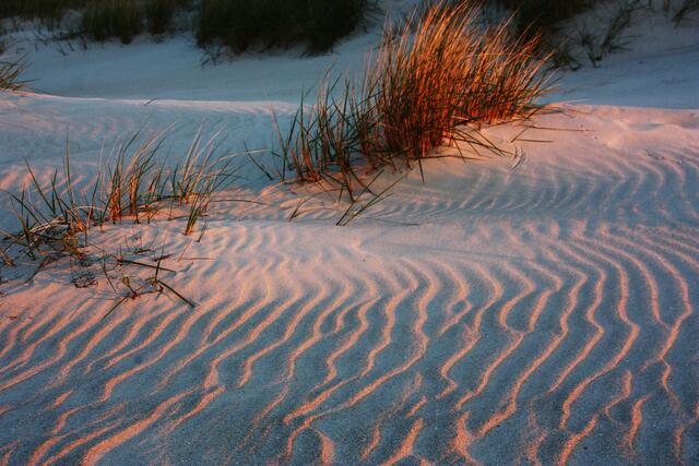 Am Strand von Prerow