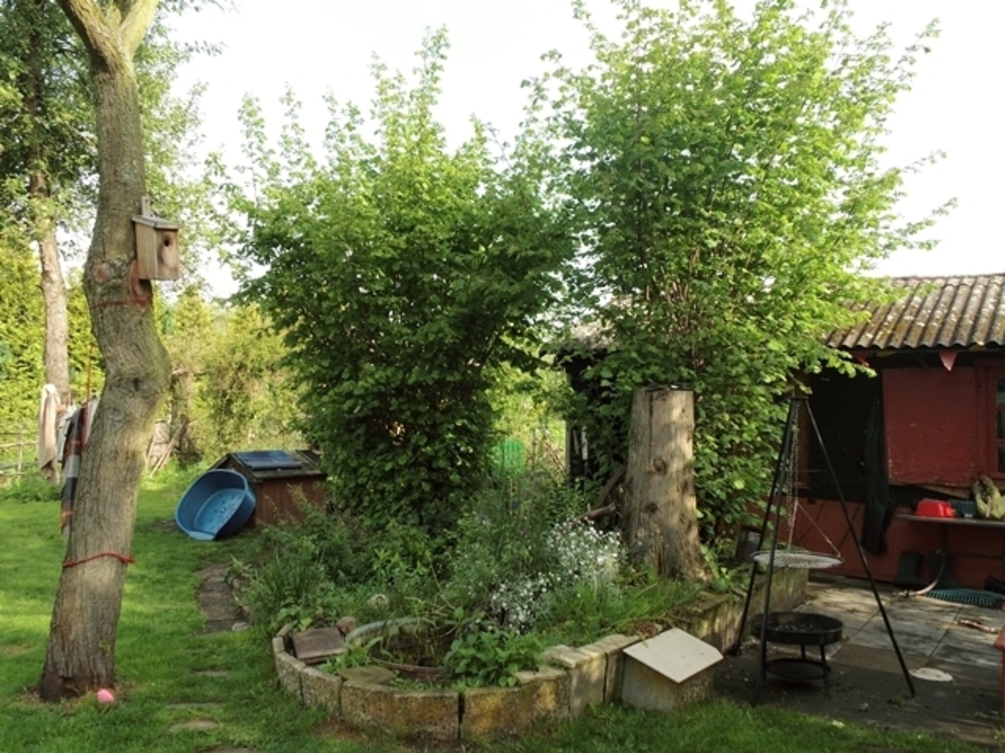 Sonntagsbilder unser Garten am 11.Mai ! Garbsen