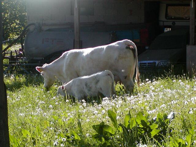 Mutter und Kind