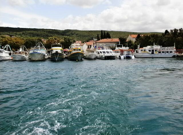 Dort wartet schon ein Boot auf uns, das uns  zur Klosterinsel Košljun übersetzt.