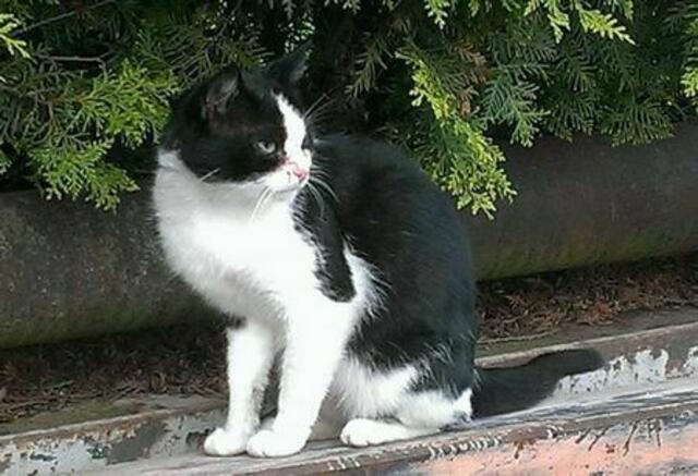 Jacky (Privatvermittlung)