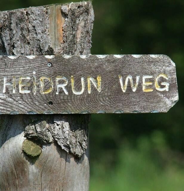 auf dem "Heidrunweg"!