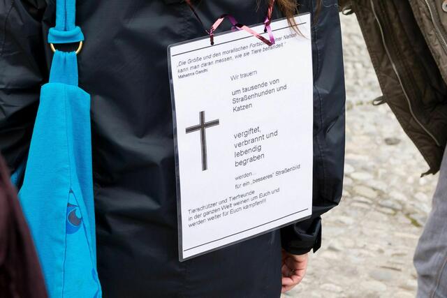 Foto: Norbert Zawe