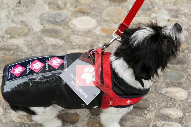 Auch er war bei der Demonstration in München mit dabei | Foto: Norbert Zawe