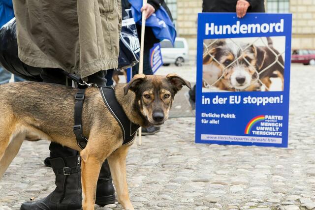 Foto: Norbert Zawe