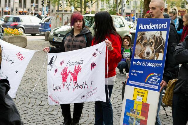 Foto: Norbert Zawe