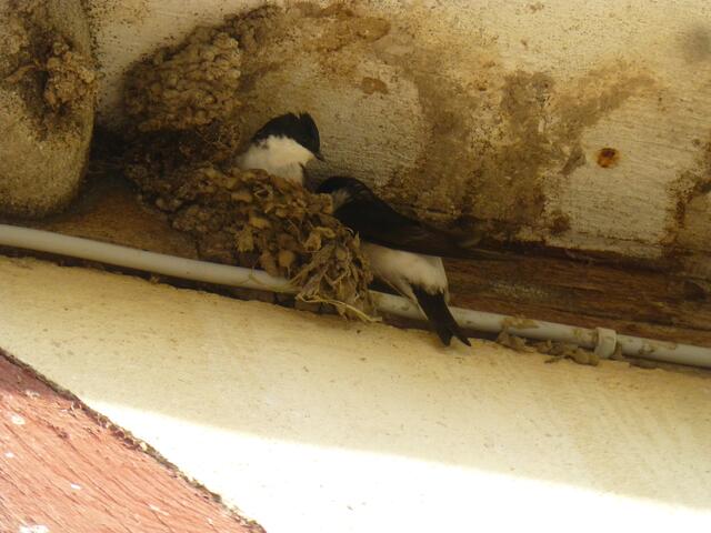 Die Liebe meines Lebens