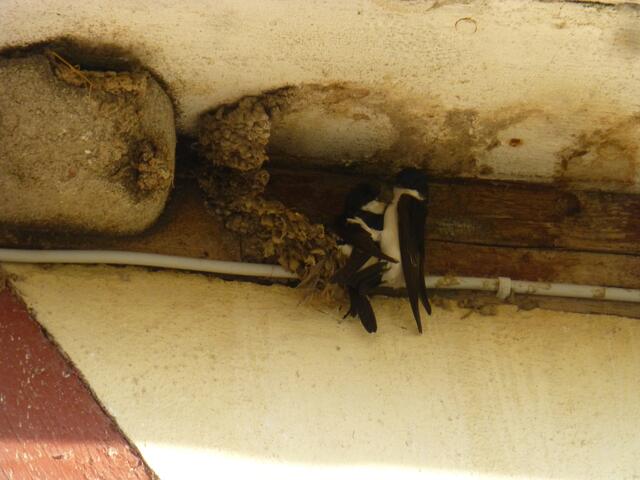 halten uns fest in den Armen.