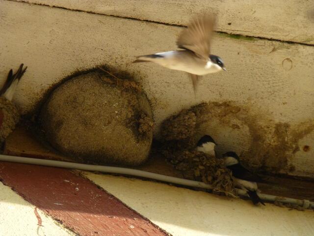 Jedoch da droht Gefahr