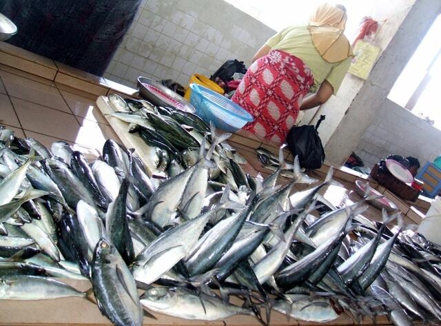 Kopfstehende Fische im Markt.