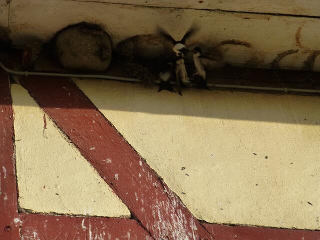 Jede Krise schweißt zusammen,