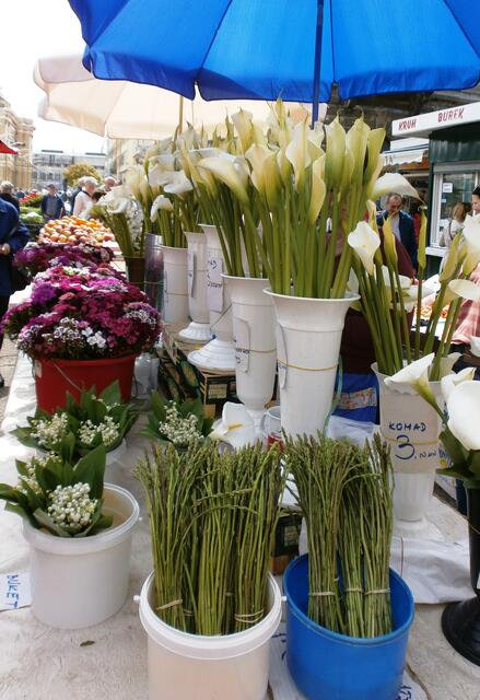 auf dem Grünen Markt.