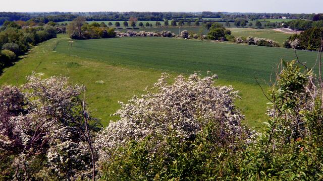 Schleswig-holsteinische Landschaft nördlich des Nord-Ostsee-Kanals