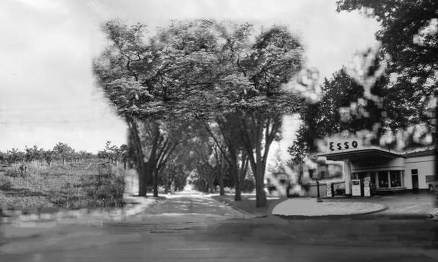 1958 Kreuzung Podbi-Herrmann Bahlsen Allee