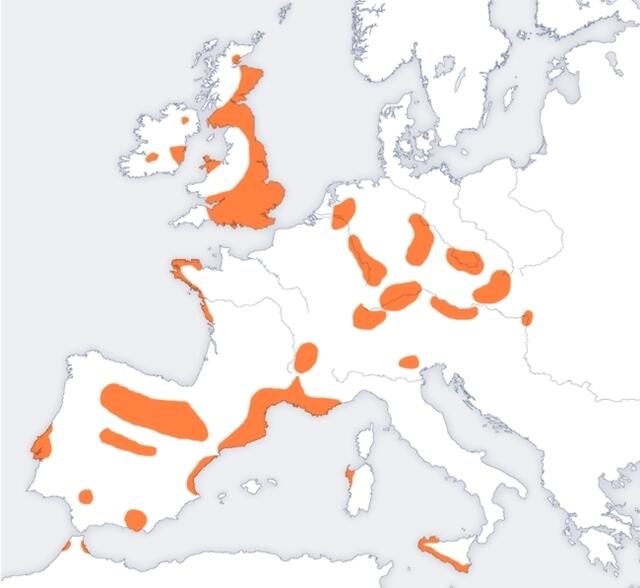Verbreitungsregionen der Glockenbecherkultur.