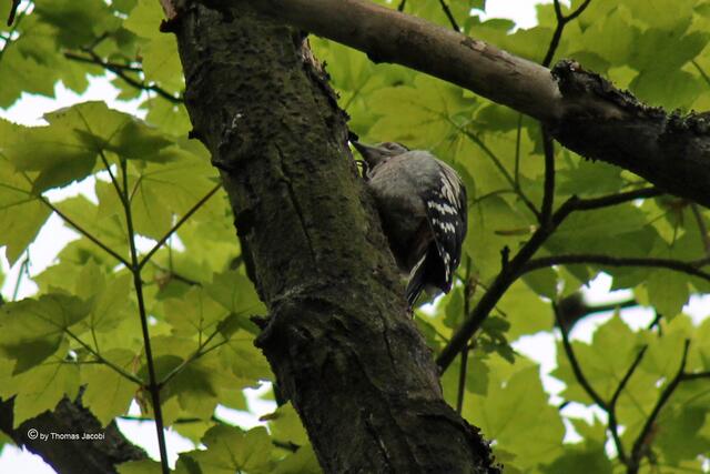 Gar nicht so einfach.