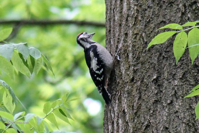 Aber was soll's. Nächster Aufstiegsversuch.