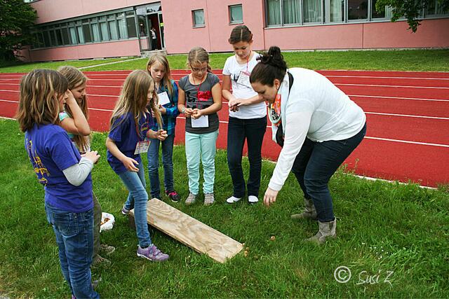 Alte galische Spiele