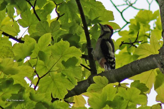 Schon ganz weit oben.