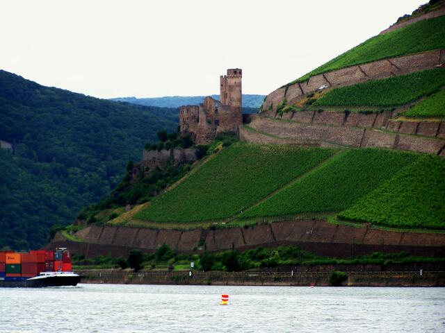 Burgruine Ehrenfels (Rüdesheim am Rhein)