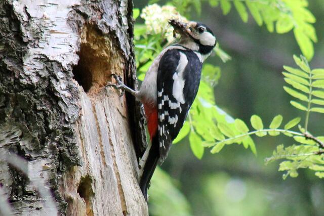 ...Portion Futter...