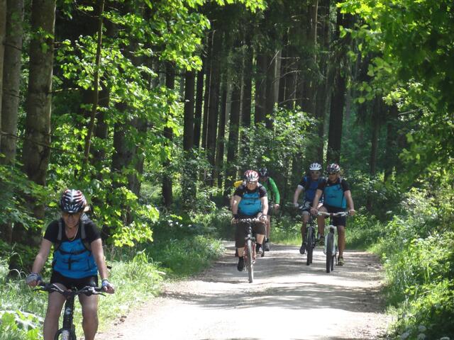 Sieht richtig dynamisch aus: Einige Teilnehmer der Radtour des Abteilung Alpin beim Durchqueren des Waldes!