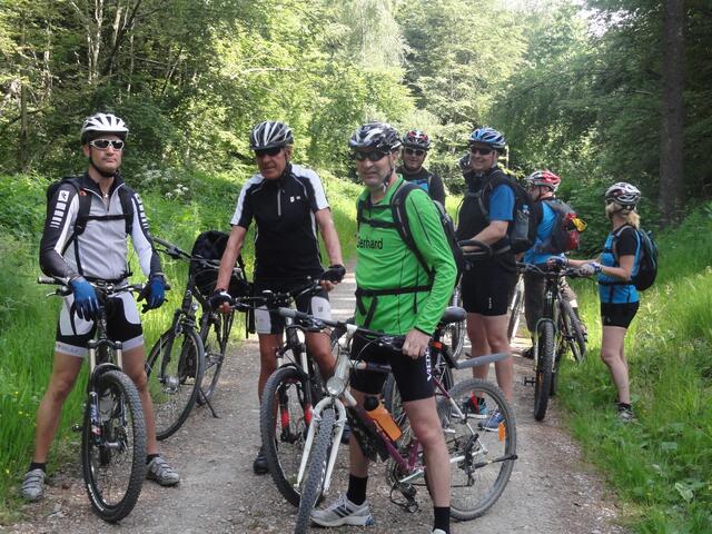 Gerade bei warmen Wetter ist eine Radtour durch den Wald ein richtiges Vergnügen.