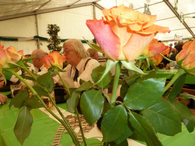 Unseren Rolf duch die Blume gesehen.