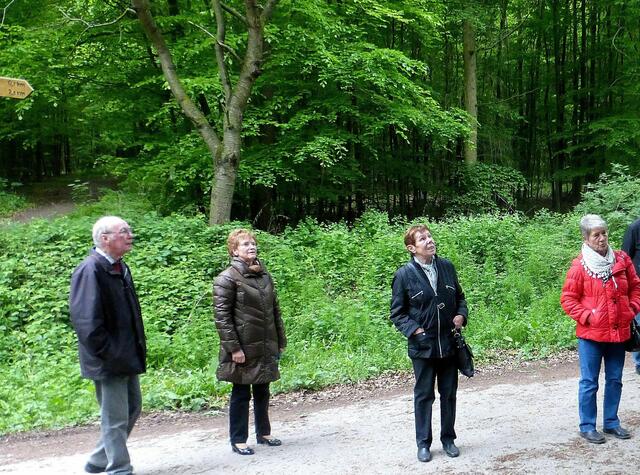 Erstaunte Blicke .....