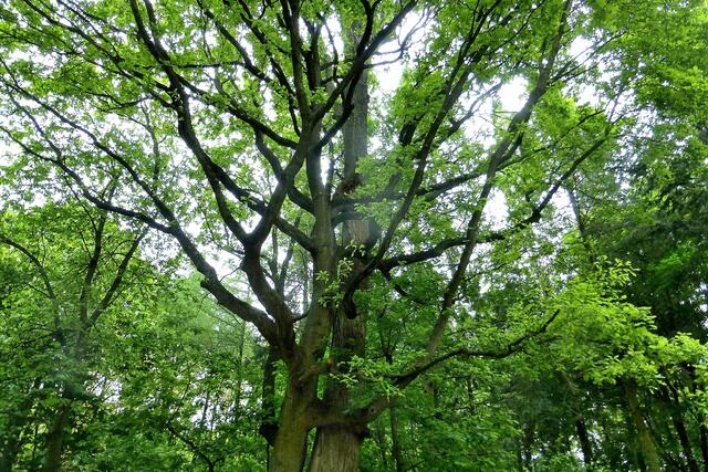 .... am Themenlehrpfad konnte man dieses Liebespaar bewundern.