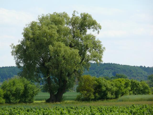 wunderschöne Ausblicke in die Natur...