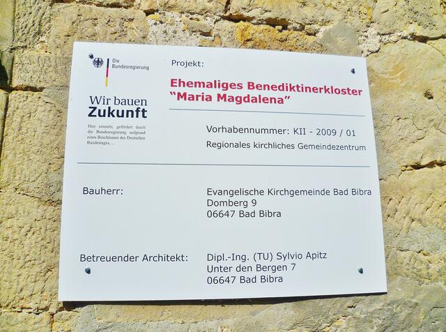 Die Traubeneiche (Quercus petraea) auf dem Klostergelände in Bad Bibra - am 22.5.2014 !