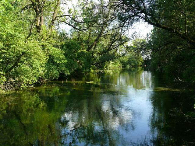 Natur pur....wo die Welt noch in Ordnung ist!