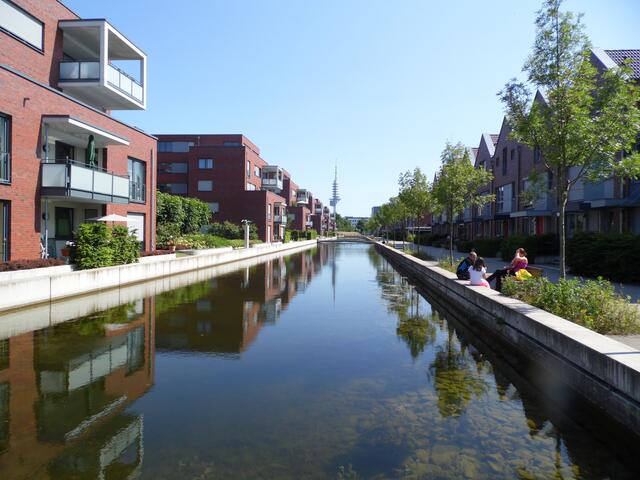 Im klaren Wasser schwimmen zwischen den Wasserpflanzen viele Fische.