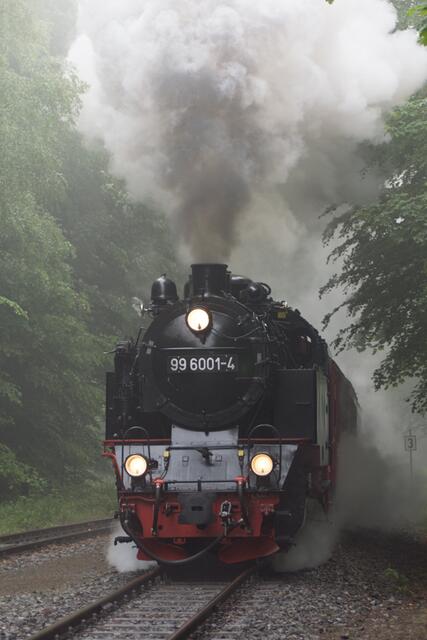 Der aus dem Nebel kam.