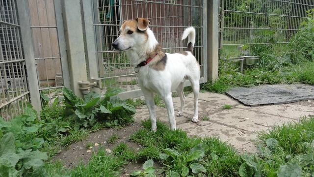 Kasimir