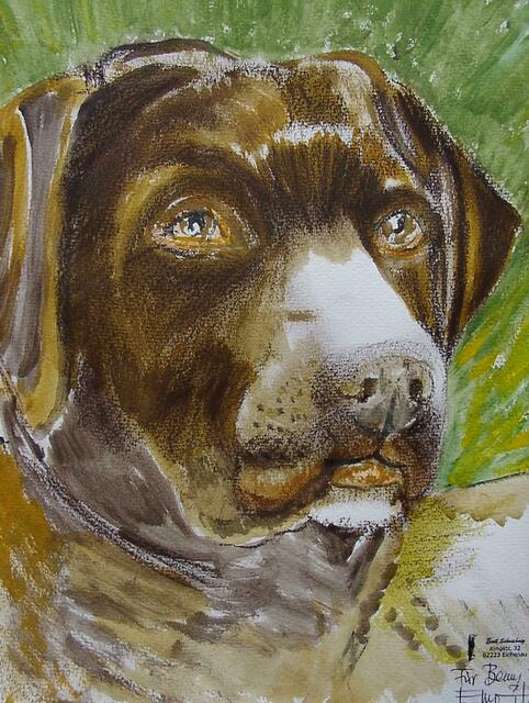 Benni, Heike Oschmann's Hund