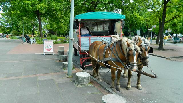 In der Kutsche kann man weiter fahren