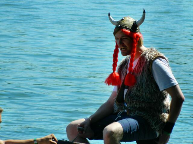 Vikings in action