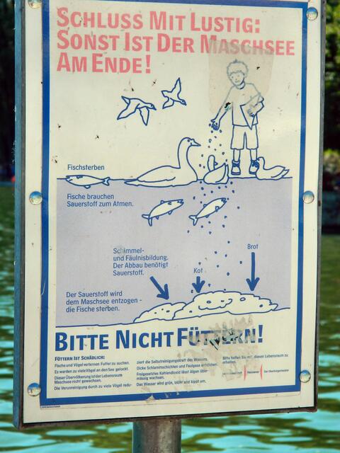 Wichtig ist, dass man sie nicht füttert.