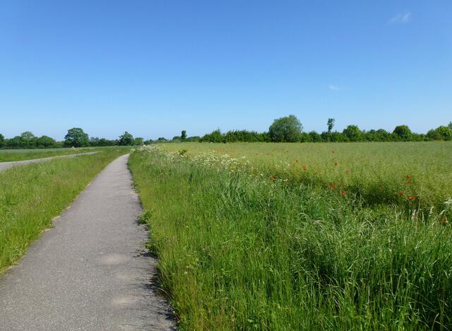 Fahrrad- und Fußweg von Lutterbek nach Stein