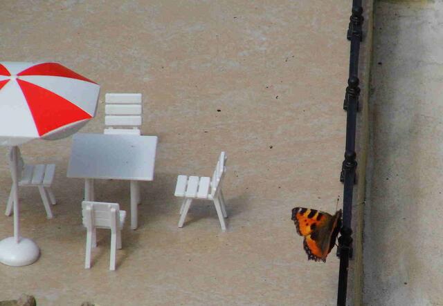 Der erste Besucher ?!
