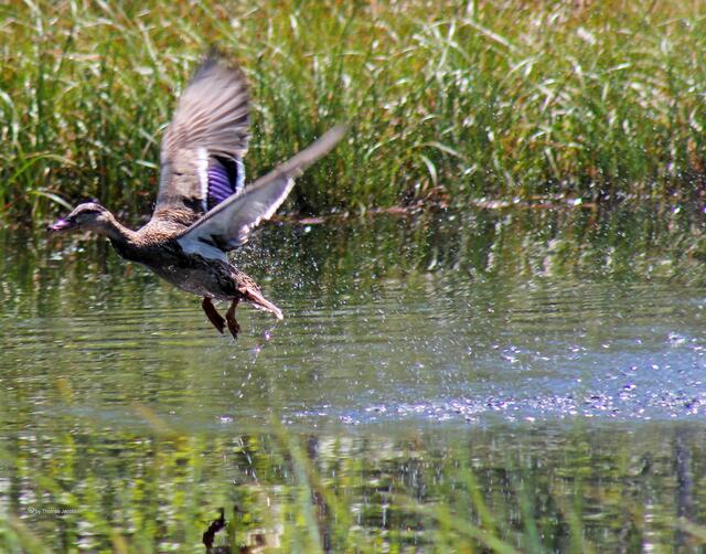 Abflug...