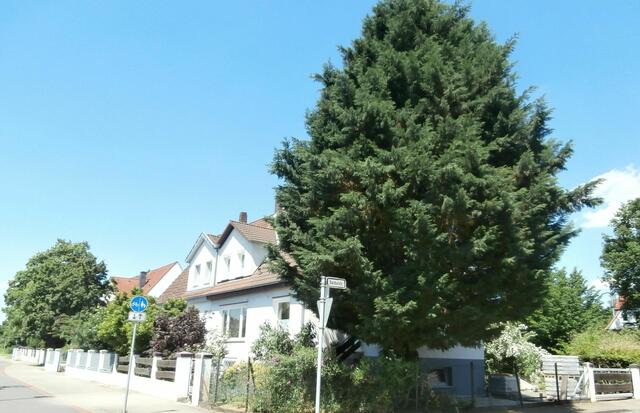 Langenforther Straße, Ecke Baldurstraße